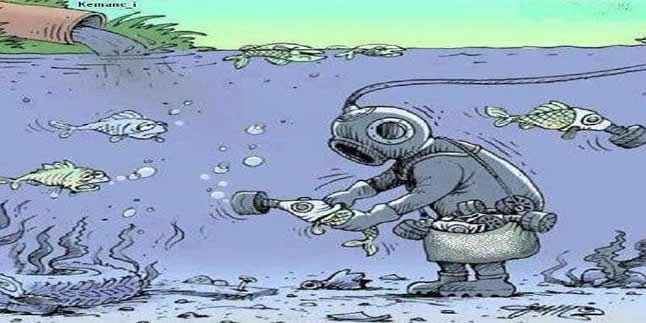 Fosfatın Çevreye Verdiği Zararlar Nelerdir – 4